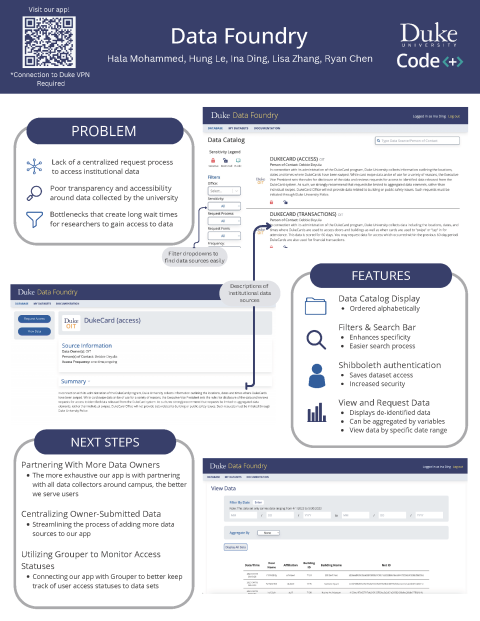 Data Foundry flyer